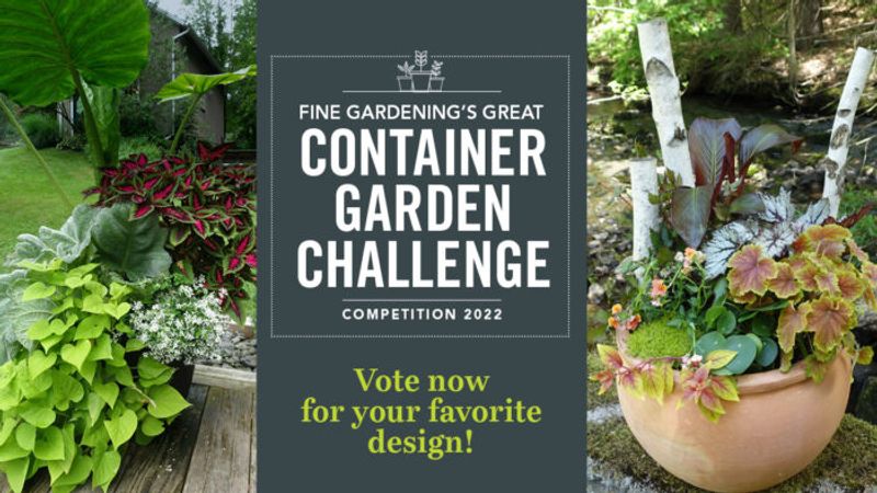 <i>Fine Gardening</i>’s Great Garden-Container Challenge