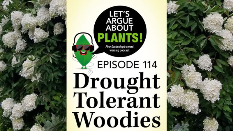 Episode 114: Drought-Tolerant Woodies