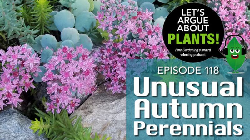Episode 118: Unusual Autumn Perennials