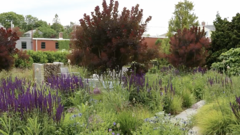 Tour a Naturalistic Garden With Great Structure