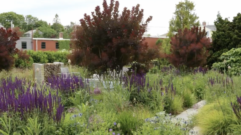 Tour a Naturalistic Garden With Great Structure - Fine Gardening