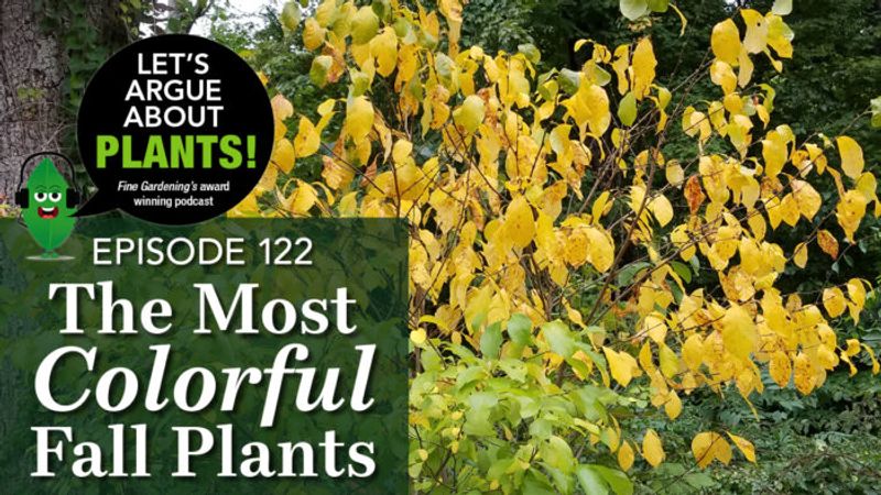 Episode 122: The Most Colorful Fall Plants