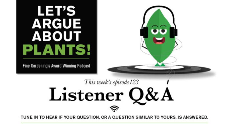 Episode 123: Listener Q & A