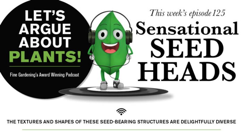 Episode 125: Sensational Seed Heads