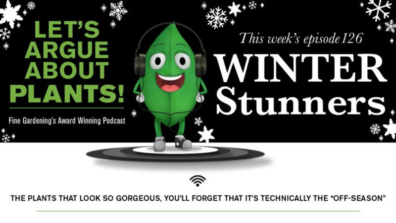 Episode 126: Winter Stunners