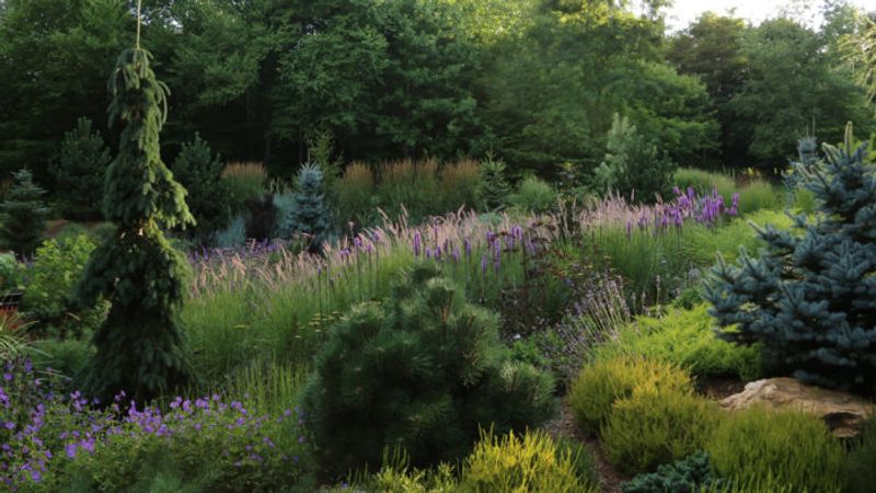 Tour a Modern Meadow Garden with Year-Round Interest
