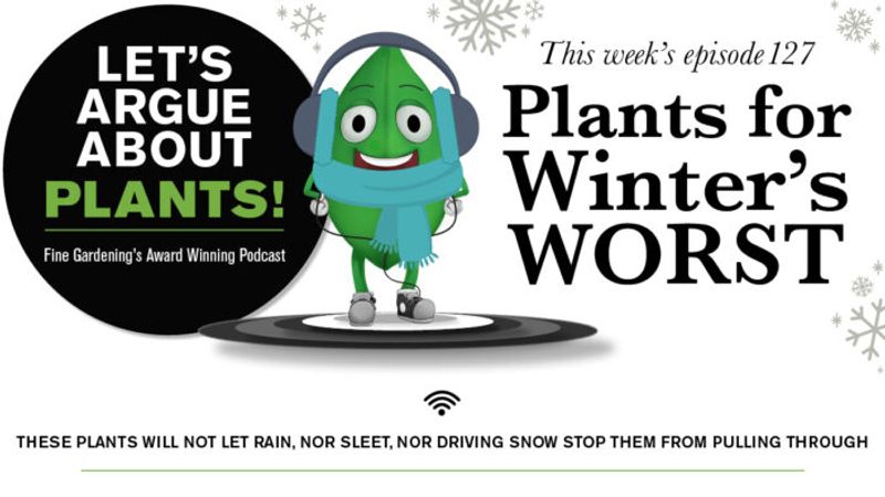 Episode 127: Plants for Winter’s Worst