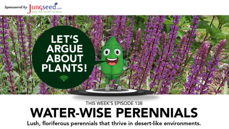 Episode 138: Water-Wise Perennials