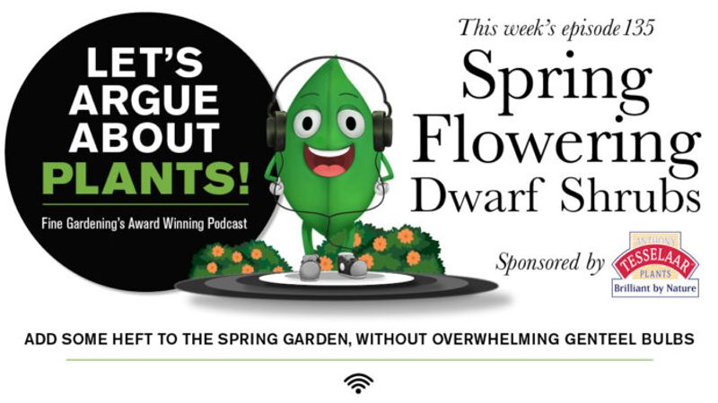 Episode 135: Spring-Flowering Dwarf Shrubs