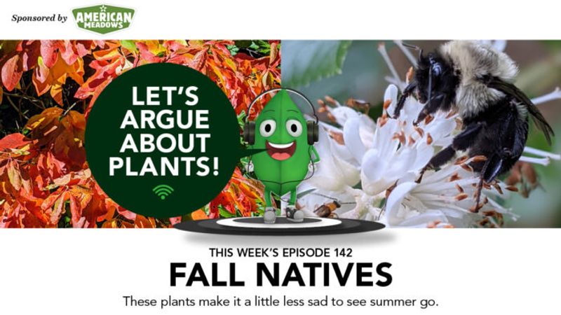 Episode 142: Fall Natives