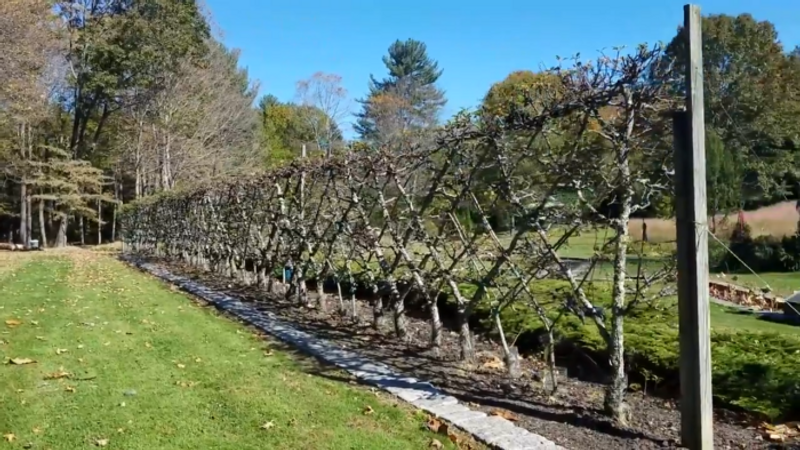 An Autumn Visit to Bedrock Gardens 