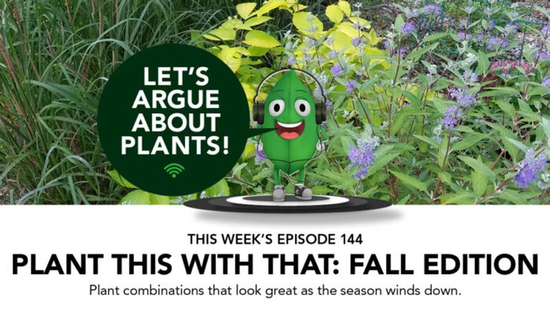 Episode 144: Plant This With That: Fall Edition