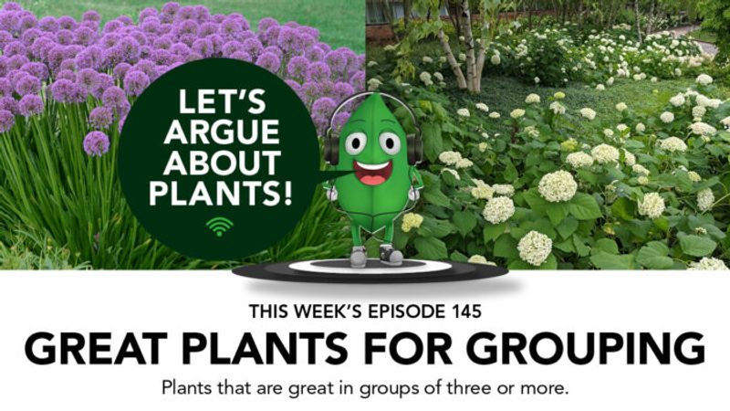 Episode 145: Great Plants for Grouping