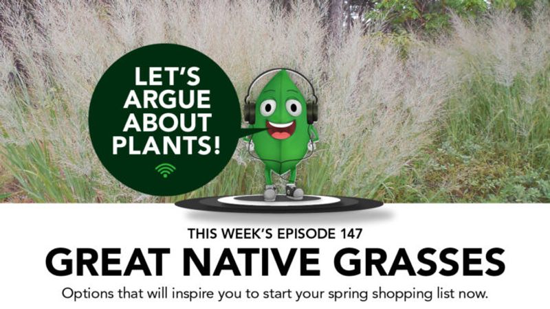Episode 147: Great Native Grasses
