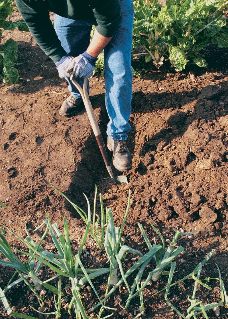 Dig a Flat-Bottomed Hole - This Old House